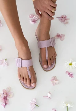 Shoes><noscript><img width=