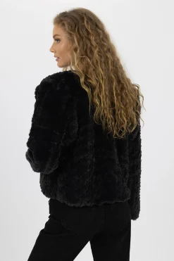 Jackets><noscript><img width=